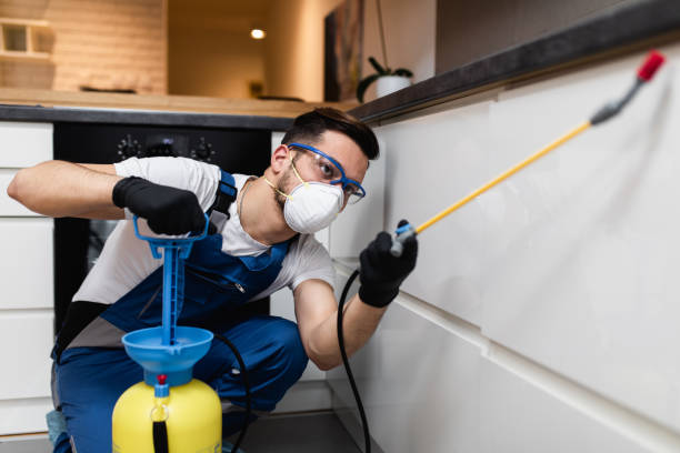 Best Emergency Pest Control  in Lowell, AR
