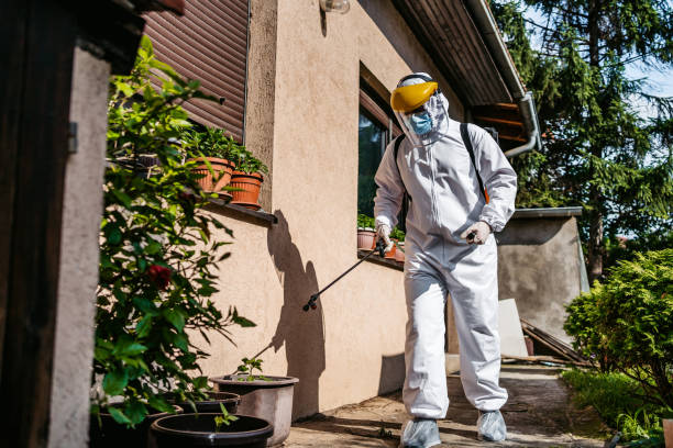 Reliable Lowell, AR Pest Control Solutions