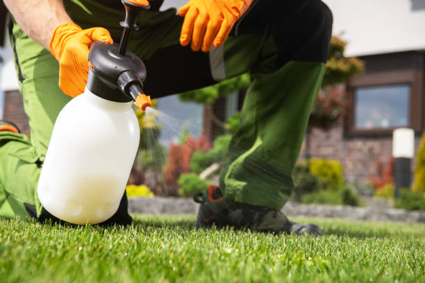 Pest Prevention Services in Lowell, AR