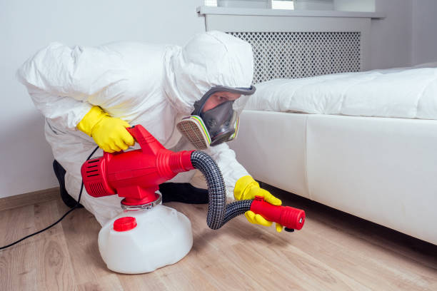 Best Termite Control Services  in Lowell, AR