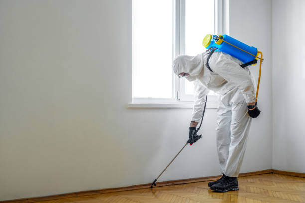 Best Cockroach Control Services  in Lowell, AR