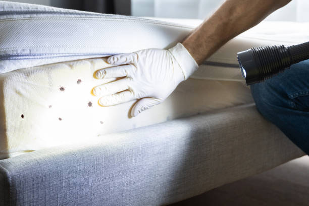 Best Commercial Pest Control Services  in Lowell, AR