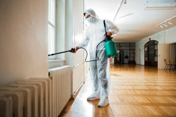 Best Pest Control Near Me  in Lowell, AR